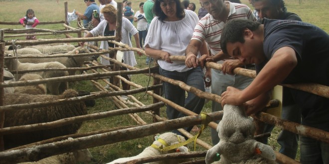 Cientos de Turistas se dieron cita en la Tercera Fiesta Ovina de Puchaurán