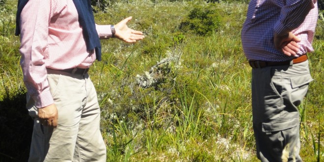 Dalcahue es líder en la conservación de los humedales en Chiloé