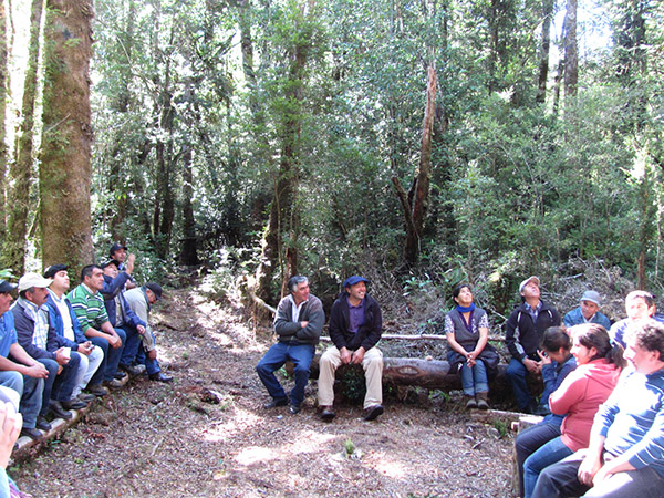 Campesinos de Dalcahue conocieron experiencia de Unidad Demostrativa Predial