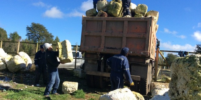 Municipalidad de Dalcahue busca eliminar el plumavit de sus playas