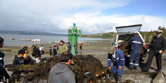 Municipalidad de Dalcahue lidera exitoso operativo de limpieza de playa en Quetalco