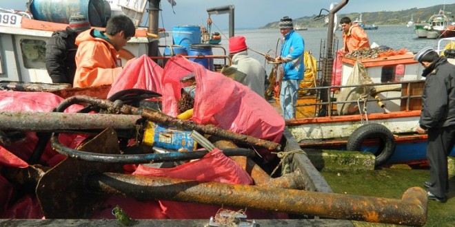 Exitoso operativo de limpieza de fondo marino se realizó en Dalcahue