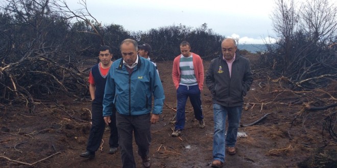 Municipio de Dalcahue ayudará a familia que sufrió daños por incendio forestal