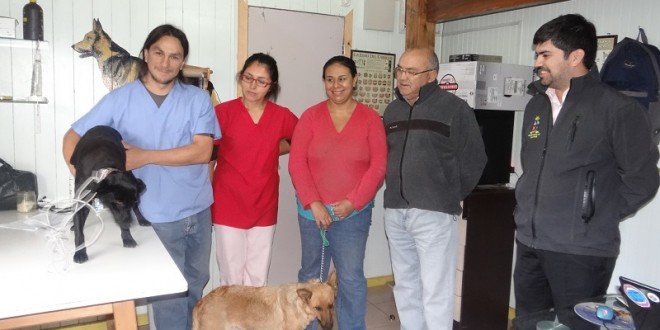 Dalcahue inició programa para esterilizar a 600 animales