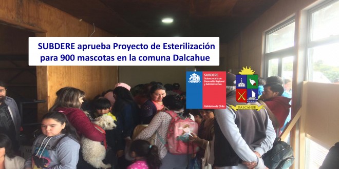 SUBDERE aprueba Proyecto de Esterilización para 900 mascotas en la comuna Dalcahue