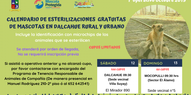 La I Municipalidad de Dalcahue invita a la comunidad rural y urbana de Dalcahue a participar de los operativos de esterilización gratuita