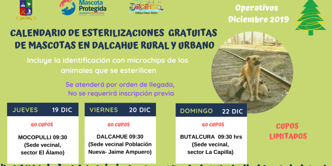 Nuevos operativos de esterilización gratuita de mascotas