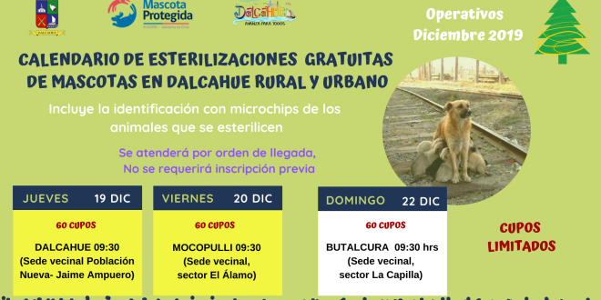 Modificación lugar de Operativo de Esterilización Diciembre 2019