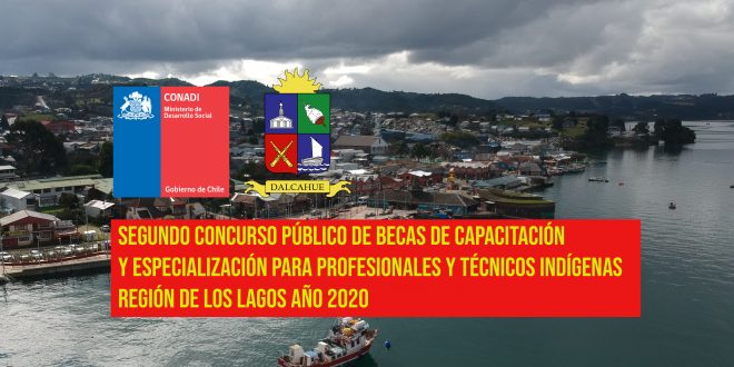 SEGUNDO CONCURSO PÚBLICO DE BECAS DE CAPACITACIÓN Y ESPECIALIZACIÓN PARA PROFESIONALES Y TÉCNICOS INDÍGENAS REGIÓN DE LOS LAGOS AÑO 2020