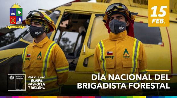 Este 15 de febrero: Chile conmemora el Día Nacional del Brigadista Forestal