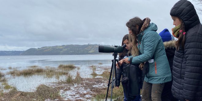 DALCAHUE AVANZA EN TURISMO «DE FINES ESPECIALES»