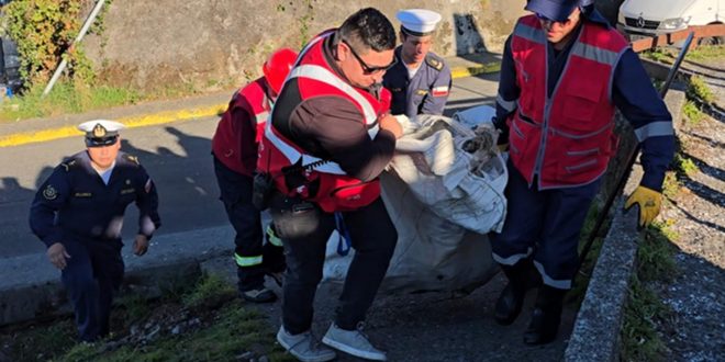 Municipalidad de Dalcahue impulsa recuperación de microbasural en el borde costero con apoyo de la Armada