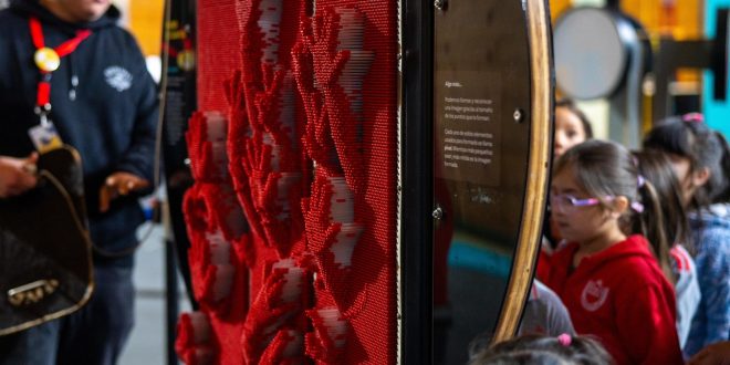 Dalcahue se convierte en epicentro de la ciencia y la imaginación con exposición del MIM