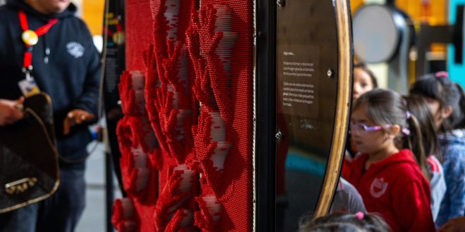 ¡Ya está abierta al público la exposición científica y sensorial más esperada del año en Dalcahue!