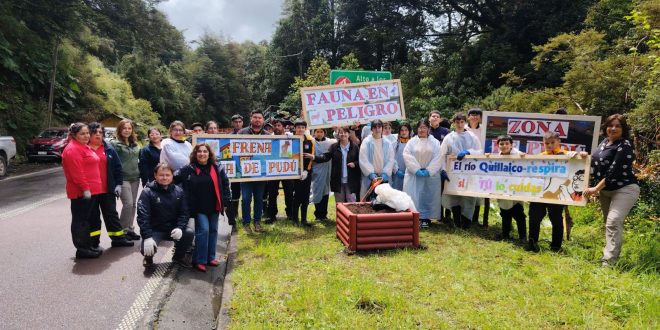 Municipio de Dalcahue denuncia contaminación en el río Butalcura y refuerza acciones de protección ambiental en el territorio