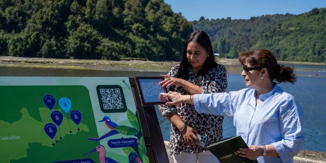Municipio y empresa LANDES impulsan señalética inclusiva para proteger los humedales de Dalcahue