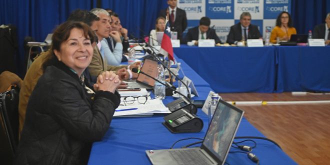 Consejo Regional aprueba proyecto para intervenir Avenida Mocopulli