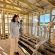Alcaldesa Villegas visitó avance en construcción de viviendas rurales para familias de Dalcahue