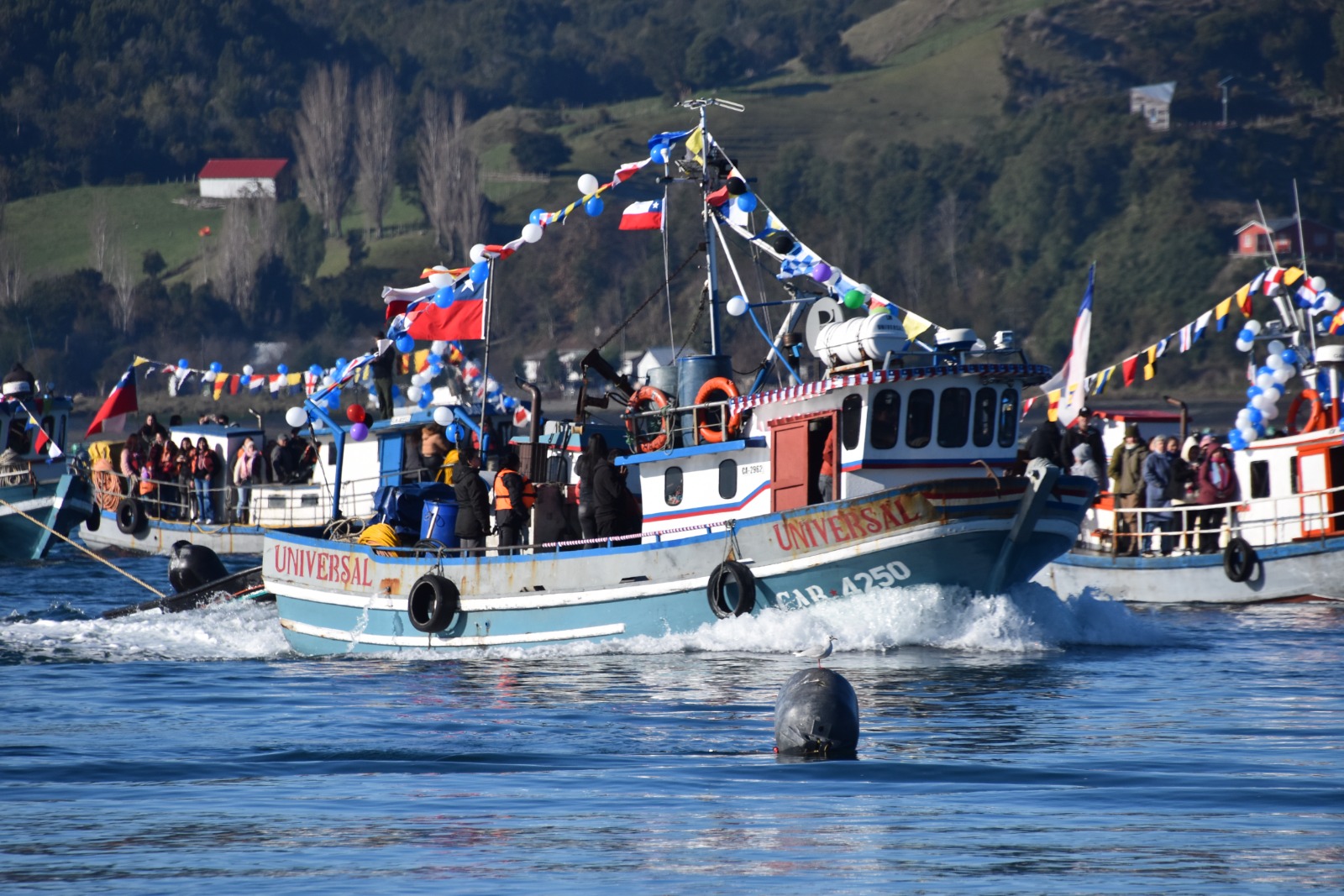 Dalcahue se prepara para celebrar la Fiesta de San Pedro