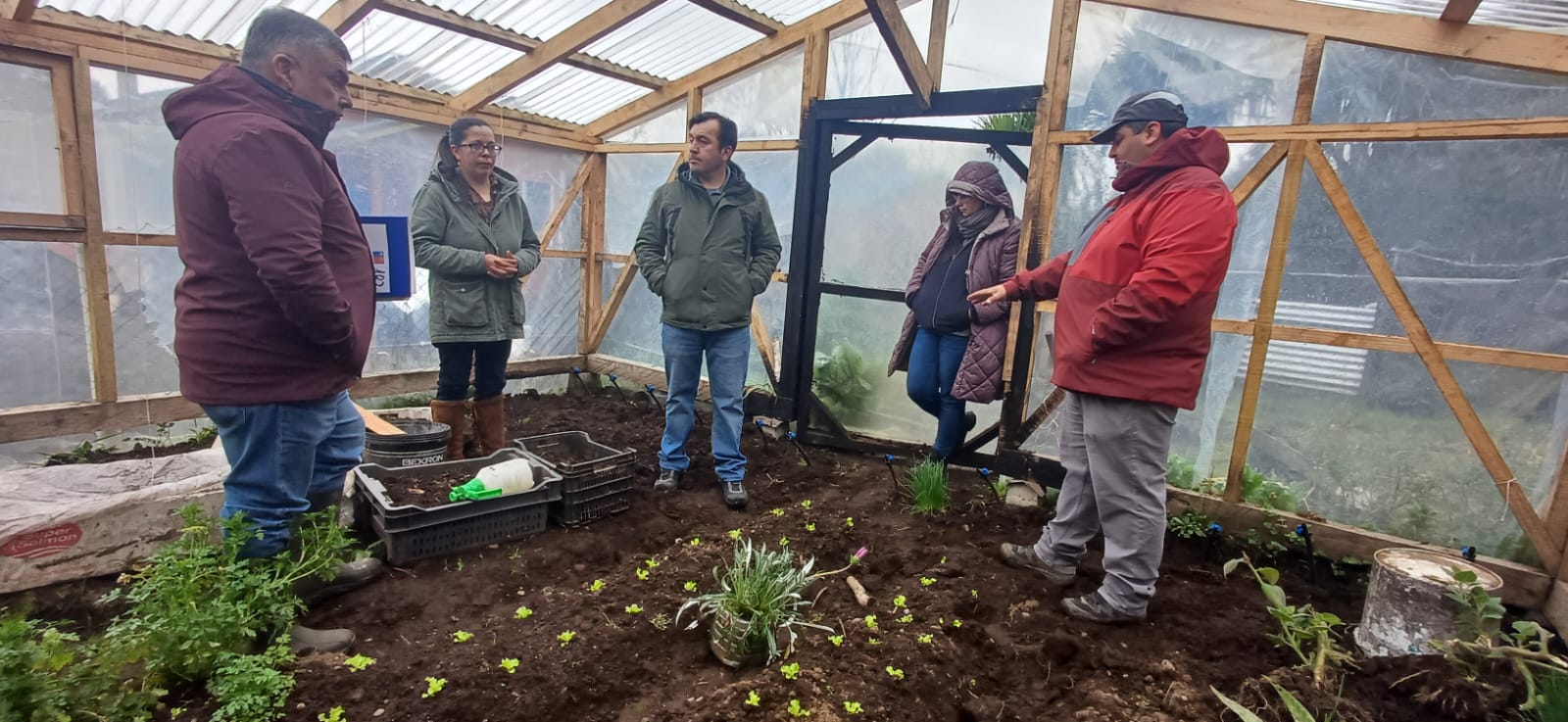 Apoyo al riego fortalece la agricultura campesina en Dalcahue
