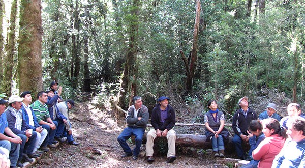 dia_campo_quemchi