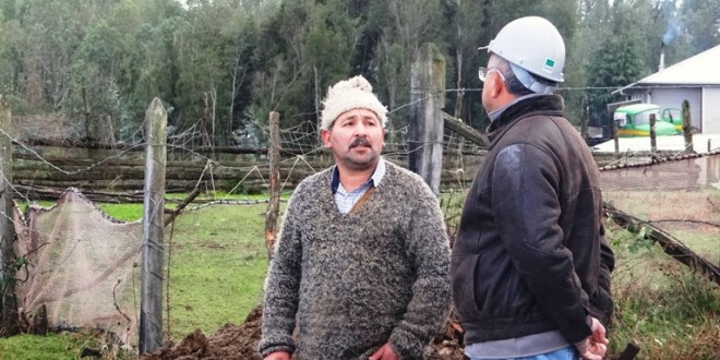 agricola 1