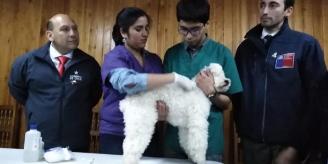 whatsapp_image_2018-11-14_at_16.55.43