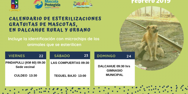 Calendario ESTERILIZACIONES FEB
