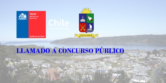 concurso publico