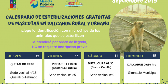 Calendario ESTERILIZACIONES (1)