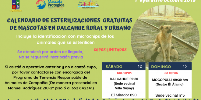 Calendario ESTERIL 1 Octubre