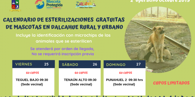Calendario ESTERILIZACIONES OCT (2)
