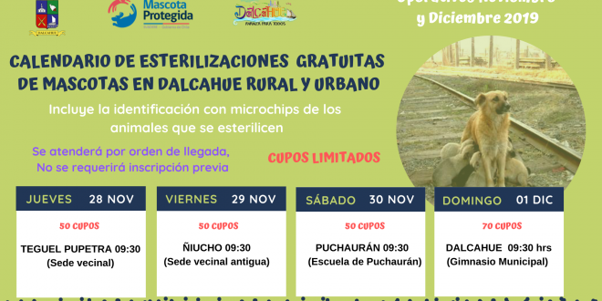 Calendario NOV DIC