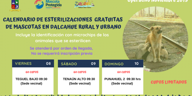 Calendarion Esterilizaciones noviembre