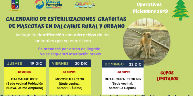 Calendario ESTERILIZACIONES FEB