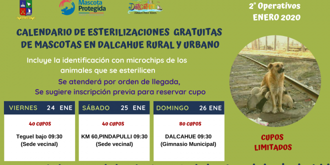 Calendario ESTERILIZACIONES ENERO