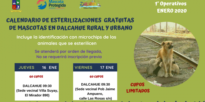 Calendario esterilizaciones enero 1