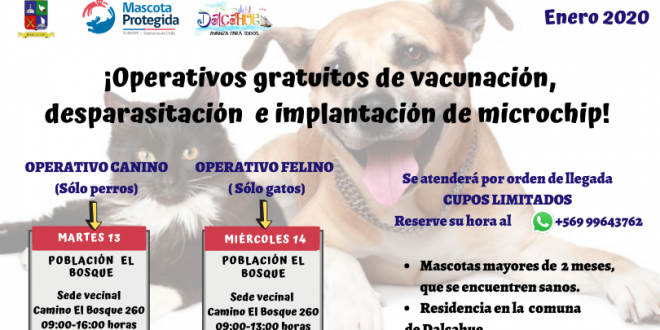 Operativos gratuitos de vacunación, desparasitación e implantación de microchip (2)