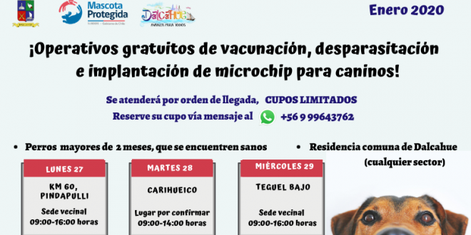 Operativos gratuitos de vacunación, desparasitación e implantación de microchip