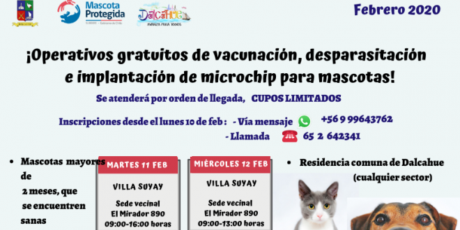 Operativos gratuitos de vacunación, desparasitación e implantación de microchip (1)