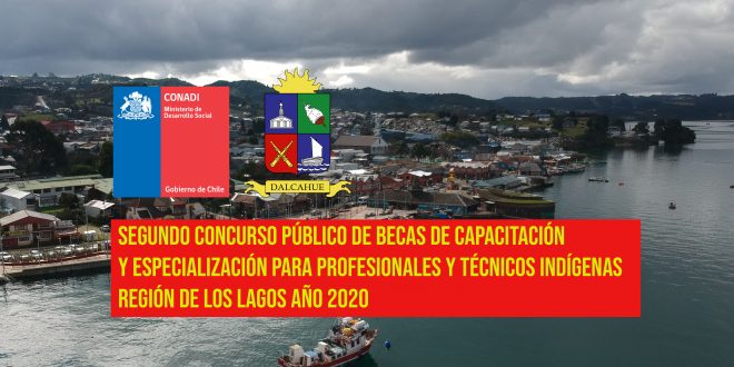 BECAS INDIGENAS OK