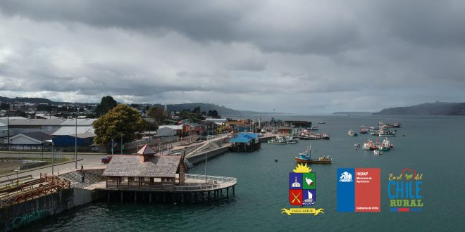 DCIM/101MEDIA/DJI_0133.JPG