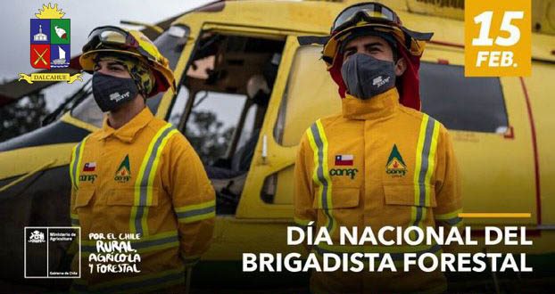 BRIGA CONAF