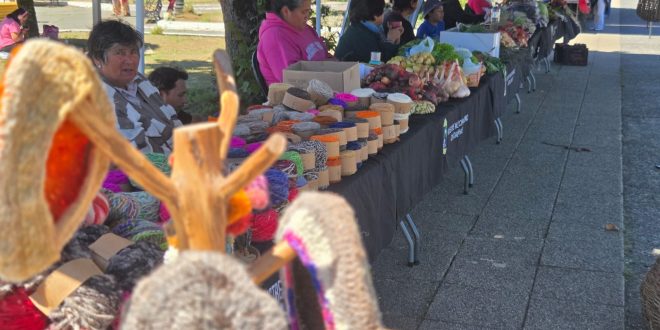 agricultores plaza dalcahue (1)